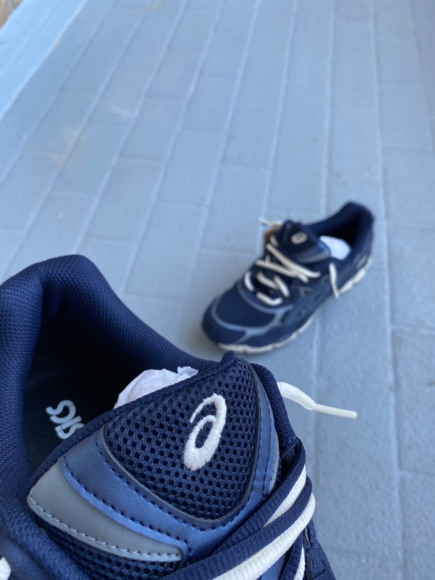 ASICS “blue lobsters”